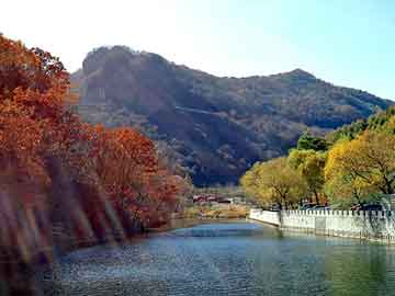 佛山鋼筋網片生產廠家（鋼筋網片生產廠家怎么樣）